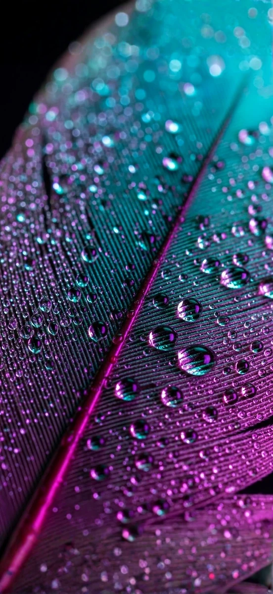 Holografische Feder & Wassertropfen - Hintergrundbild